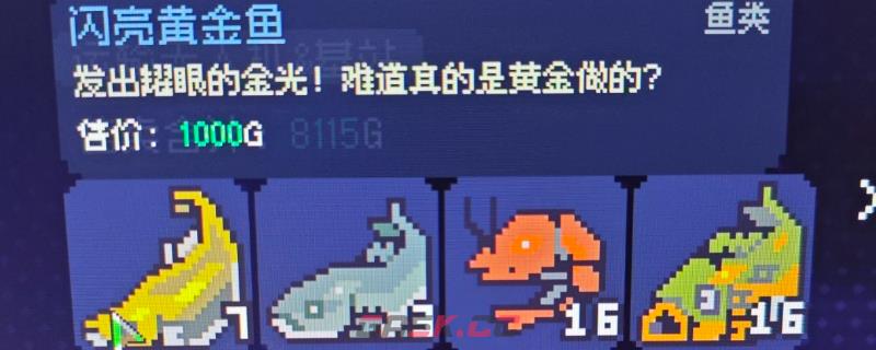 《多洛可小镇》黄金鱼值钱卖法分享