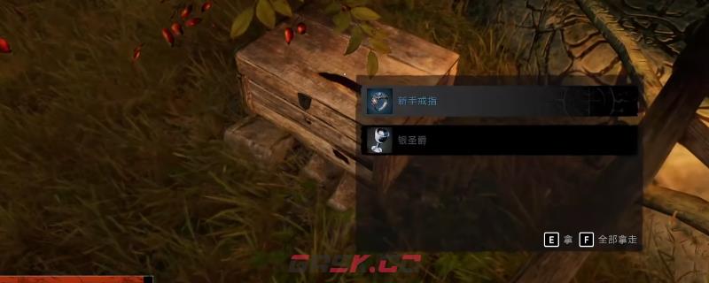 《污痕圣杯：阿瓦隆的陨落》新手戒指获取位置介绍-第1张-单机攻略-GASK