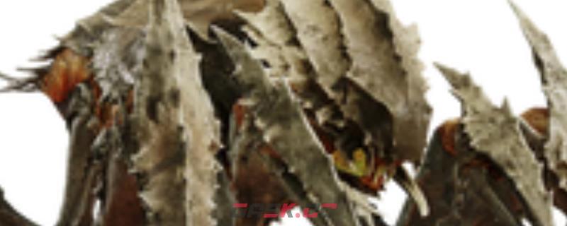 《绝地潜兵2》虫族勇士虫特点介绍