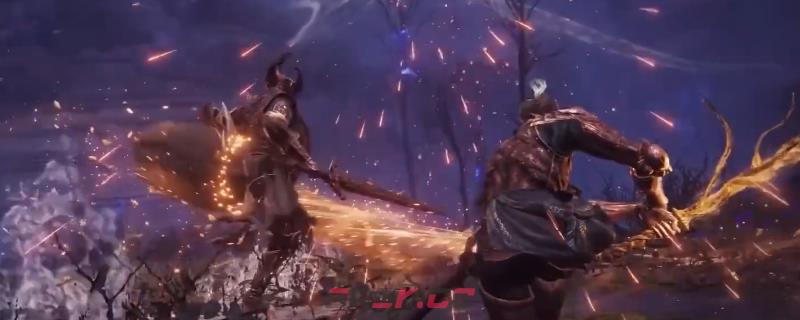 《艾尔登法环：黑夜君临》执行者职业玩法解析-第1张-单机攻略-GASK