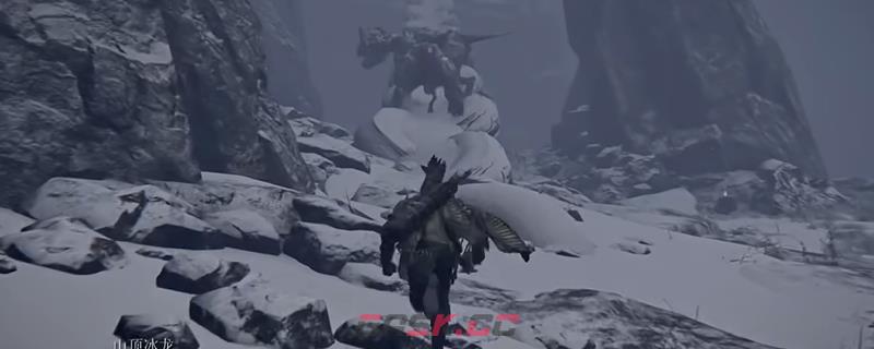《艾尔登法环：黑夜君临》雪山顶地形收益介绍