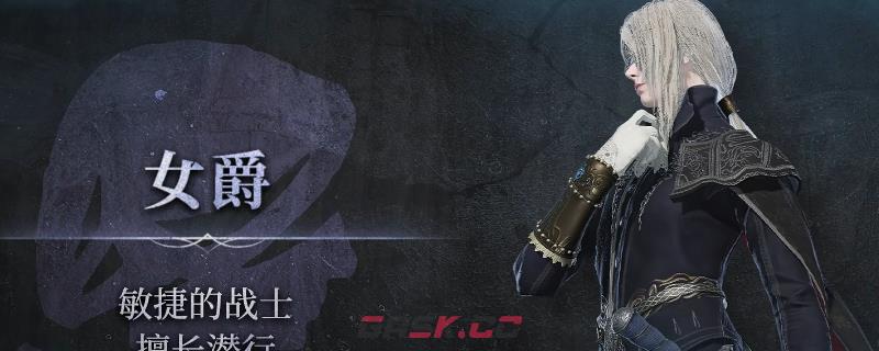 《艾尔登法环：黑夜君临》女爵参战成就攻略分享