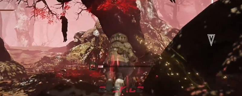 《艾尔登法环：黑夜君临》腐败森林地形收益介绍
