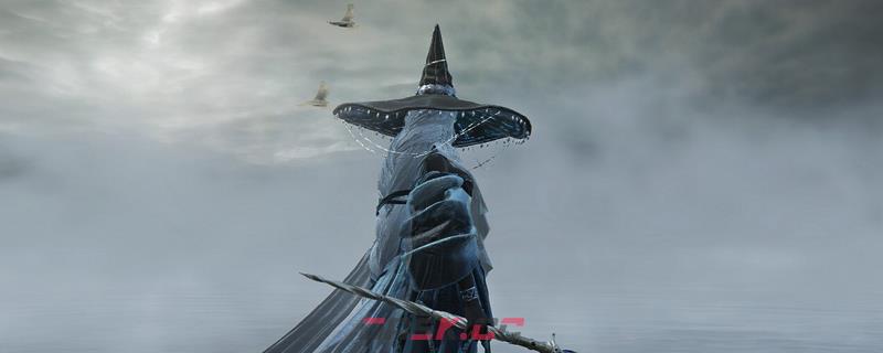 《艾尔登法环：黑夜君临》隐者特点评价分享