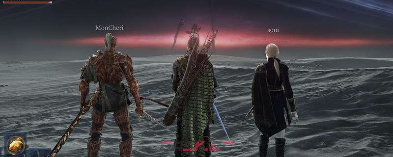 《艾尔登法环：黑夜君临》高默契好用组合推荐
