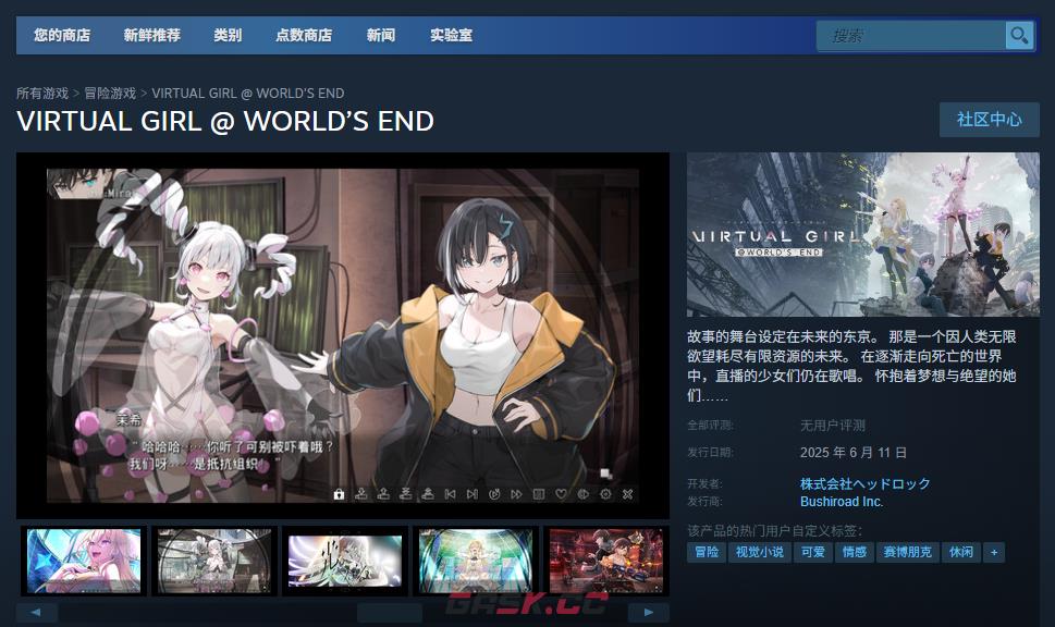 《VIRTUAL GIRL @ WORLD’S END》游戏游玩平台介绍-第2张-单机攻略-GASK