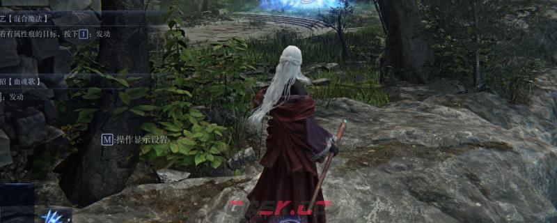 《艾尔登法环：黑夜君临》隐士单排通关经验分享