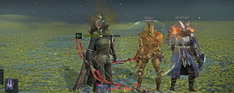 《艾尔登法环：黑夜君临》新手野排组合推荐