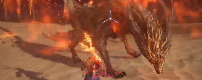 《艾尔登法环：黑夜君临》追踪者打全夜王攻略分享
