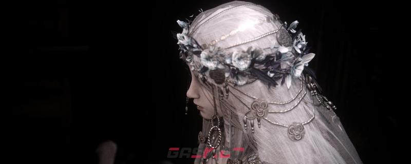 《艾尔登法环：黑夜君临》复仇者特点评价分享