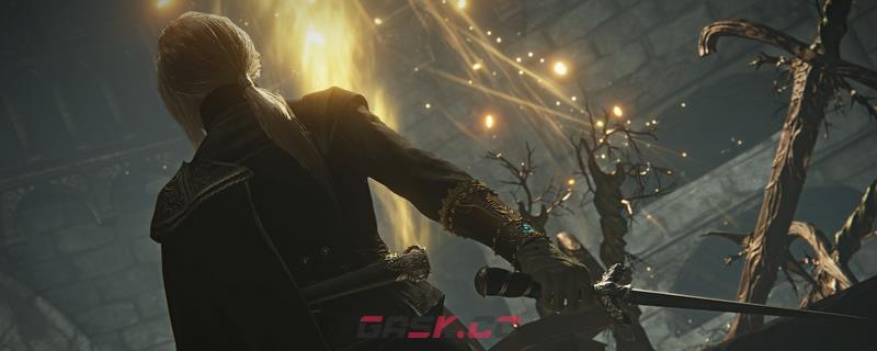 《艾尔登法环：黑夜君临》女爵特点评价分享