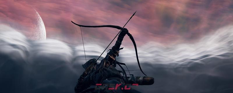 《艾尔登法环：黑夜君临》铁眼特点评价分享