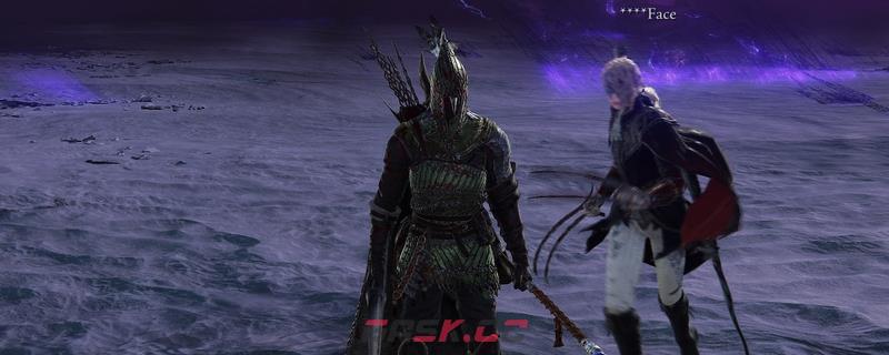 《艾尔登法环：黑夜君临》铁眼打王室幽魂方法介绍