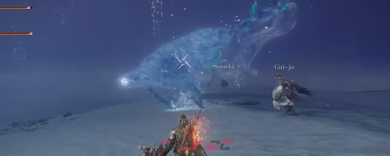 《艾尔登法环：黑夜君临》夜王预兆者水母打法特点介绍