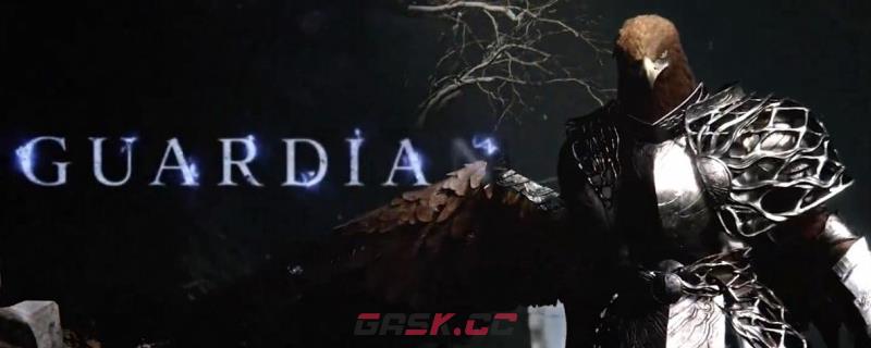 《艾尔登法环：黑夜君临》守护者游玩心得分享