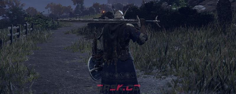 《艾尔登法环：黑夜君临》全角色优缺点介绍