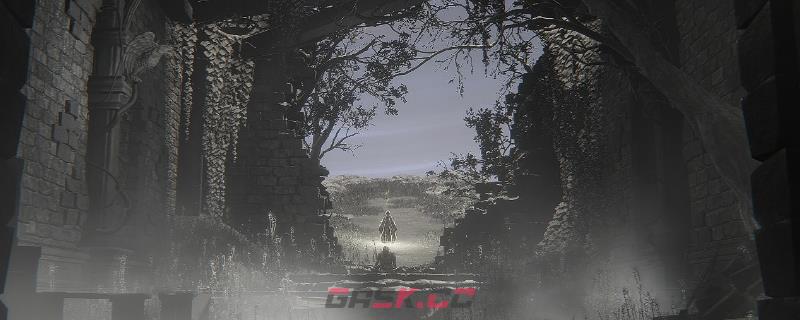 《艾尔登法环：黑夜君临》游玩建议分享