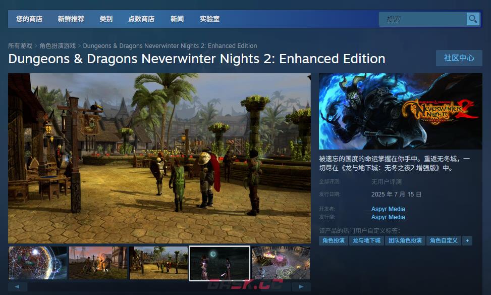 《龙与地下城：无冬之夜2 增强版》游戏下载网址介绍-第2张-单机攻略-GASK
