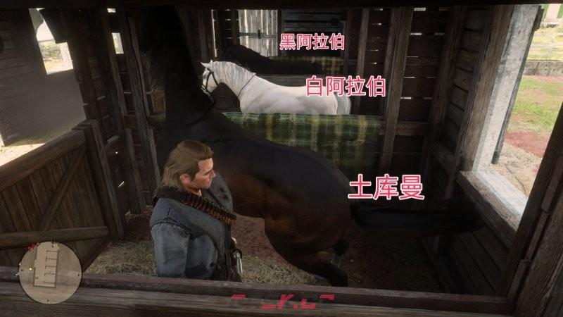 《荒野大镖客2》白嫖土库曼马方法介绍-第7张-单机攻略-GASK