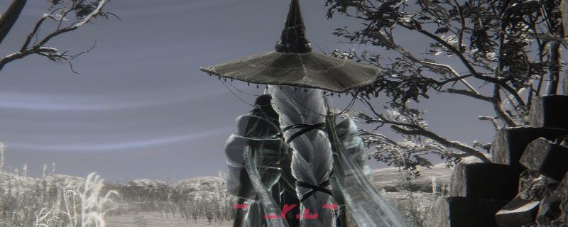 《艾尔登法环：黑夜君临》隐士游玩心得分享-第1张-单机攻略-GASK