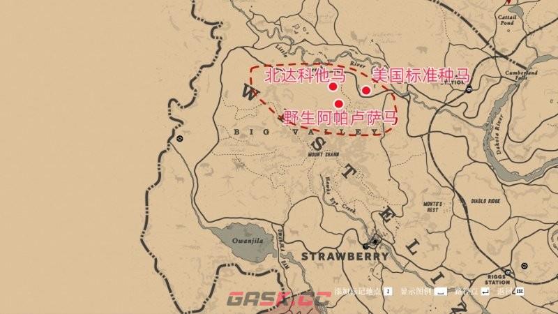 《荒野大镖客2》骑手挑战10攻略分享-第16张-单机攻略-GASK