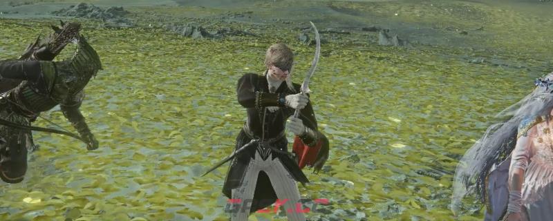 《艾尔登法环：黑夜君临》野排女爵玩法分享-第1张-单机攻略-GASK