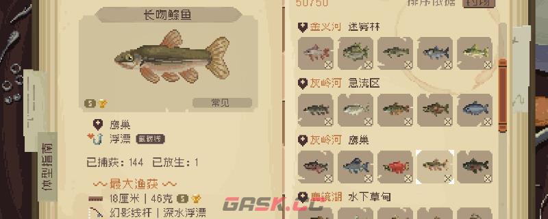 《Cast n Chill》钓xxl鱼王攻略分享