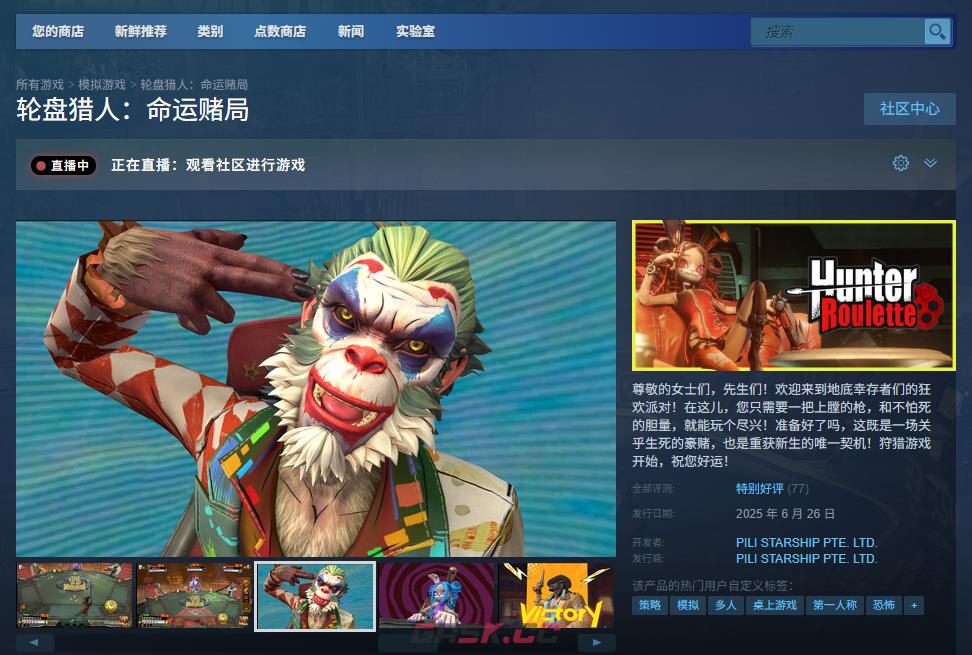 《轮盘猎人：命运赌局》游戏下载网址介绍-第2张-单机攻略-GASK