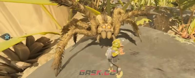 《禁闭求生2》狼蛛无伤打法技巧分享-第1张-单机攻略-GASK