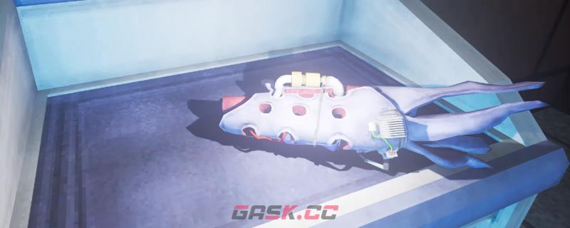《非生物因素》棘刺步枪武器特点介绍-第1张-单机攻略-GASK