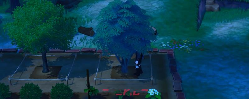 《牧场物语 来吧！风之繁华集市》快速提升品质星级方法介绍