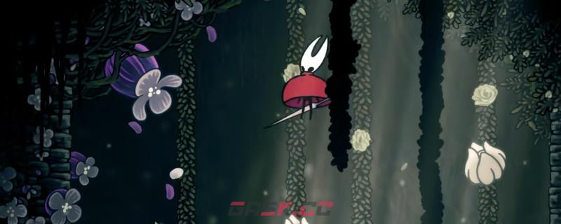 《空洞骑士：丝之歌》全花芯获得方法介绍