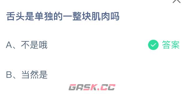 舌头是单独的一整块肌肉吗-第2张-手游攻略-GASK