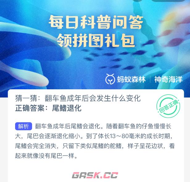 猜一猜：翻车鱼成年后会发生什么变化-第2张-手游攻略-GASK