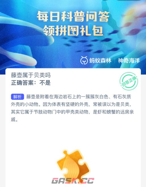 藤壶属于贝类吗-第2张-手游攻略-GASK
