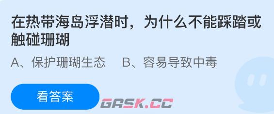 在热带海岛浮潜时，为什么不能踩踏或触碰珊瑚-第1张-手游攻略-GASK