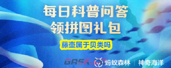 藤壶属于贝类吗-第1张-手游攻略-GASK