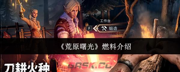 《荒原曙光》燃料介绍-第1张-手游攻略-GASK
