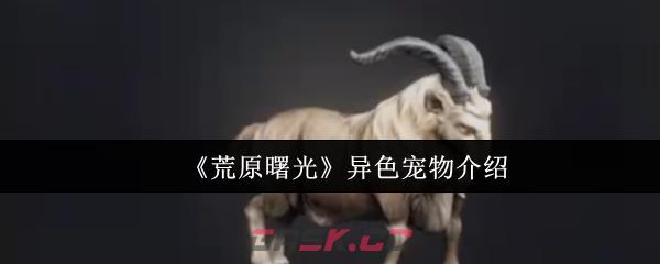 《荒原曙光》异色宠物介绍
