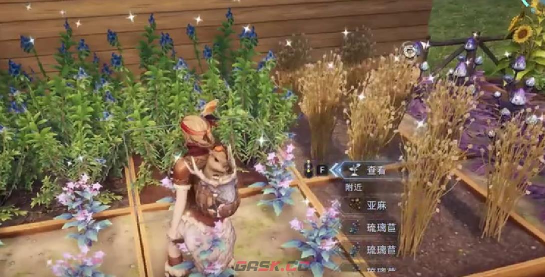 《荒原曙光》雪莲获取攻略-第4张-手游攻略-GASK