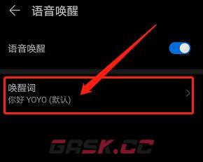 《华为智慧语音》唤醒词设置方法-第6张-手游攻略-GASK