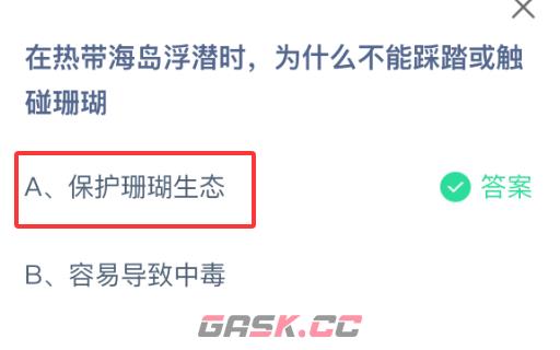 在热带海岛浮潜时，为什么不能踩踏或触碰珊瑚-第2张-手游攻略-GASK