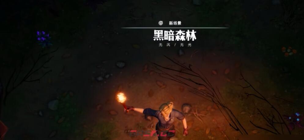 《荒原曙光》木质火把制作方法-第3张-手游攻略-GASK