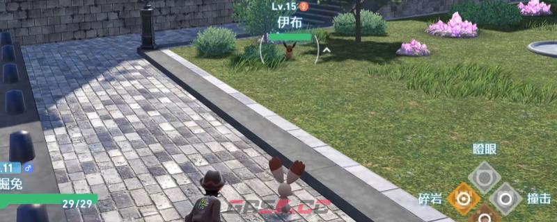 《宝可梦传说 Z-A》前期抓伊布位置介绍-第1张-单机攻略-GASK