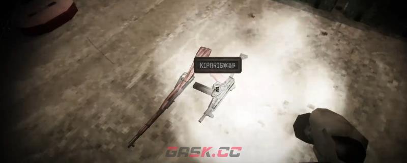 《核处逢生》异常造物获得方法介绍-第1张-单机攻略-GASK