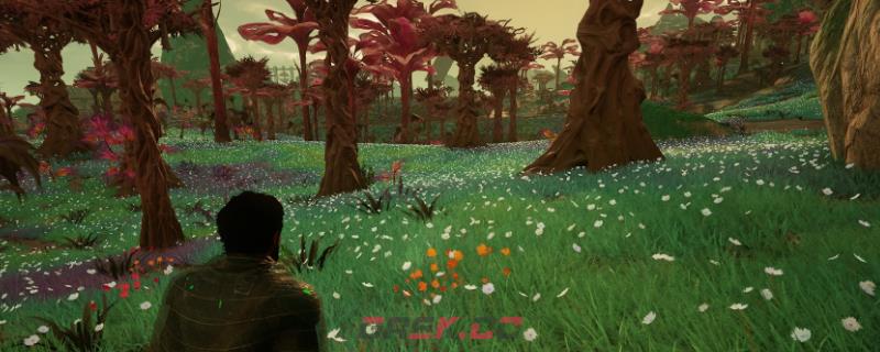 《天外世界2》全区域任务做法介绍-第1张-单机攻略-GASK