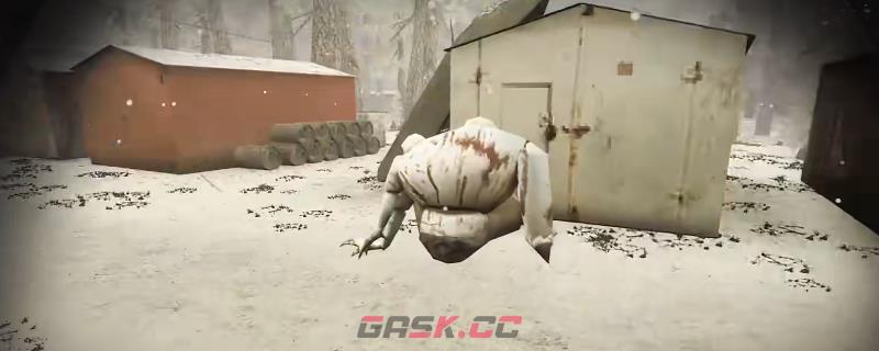 《核处逢生》杀双胞胎和鼠狼方法介绍-第1张-单机攻略-GASK