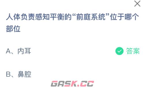 人体负责感知平衡的“前庭系统”位于哪个部位-第2张-手游攻略-GASK