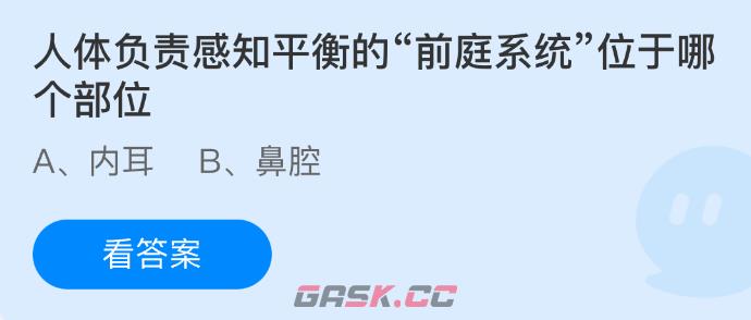 人体负责感知平衡的“前庭系统”位于哪个部位