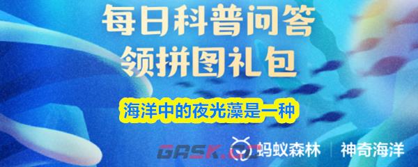 海洋中的夜光藻是一种